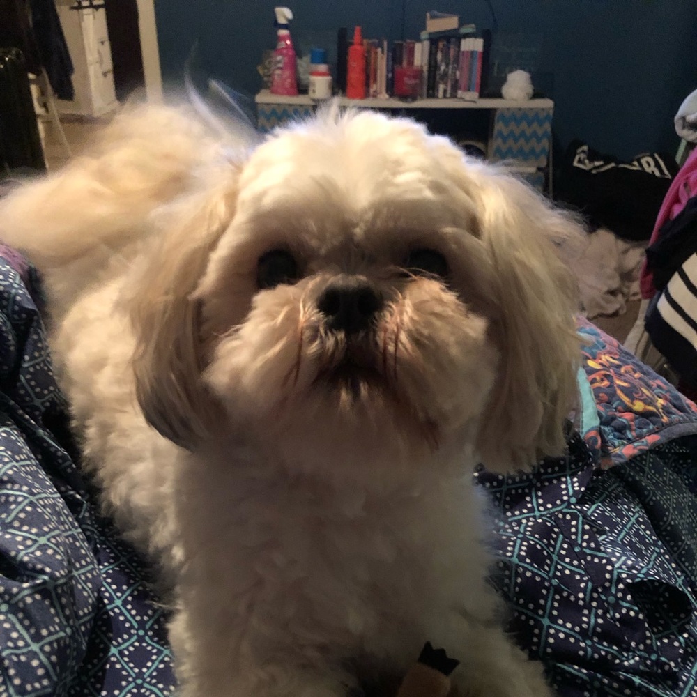 Meet your Posher, Stacey